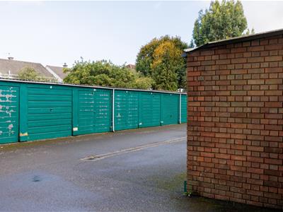 Picture 24